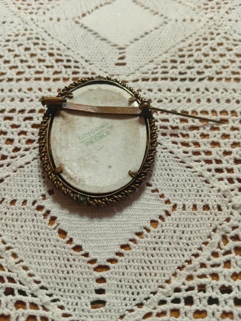 Très jolie broche