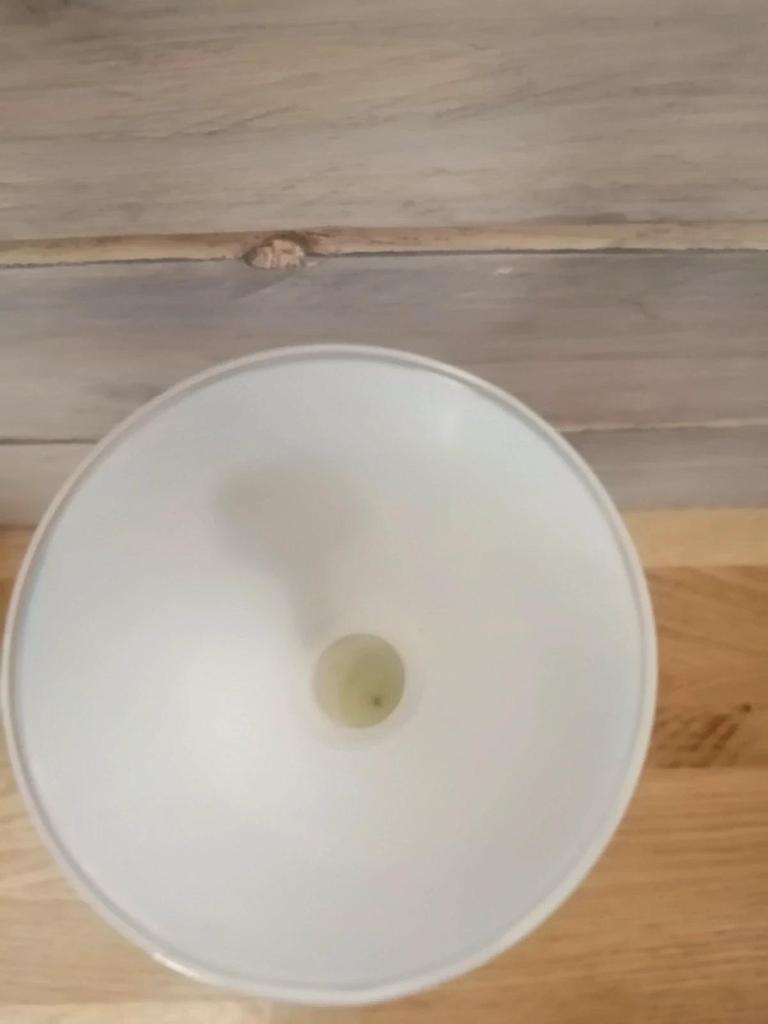 Ancien vase en opaline Florentine Stelvia